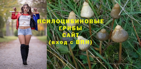 герыч Бронницы
