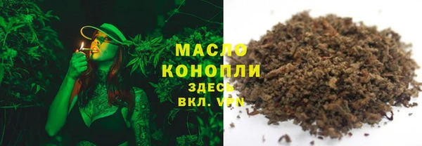 индика Семикаракорск