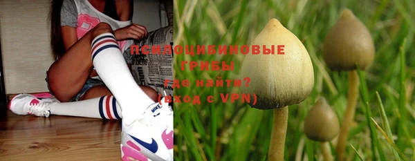 мет Бородино