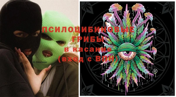 дмт Бугульма