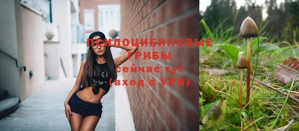 дмт Бугульма